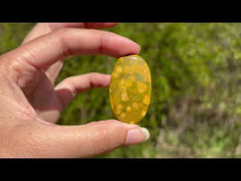 Charger et lire la vidéo dans la visionneuse de la Galerie, Jaspe Océan 5
