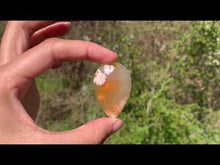 Charger et lire la vidéo dans la visionneuse de la Galerie, VENDU Agate Fleurie 11
