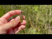 Charger et lire la vidéo dans la visionneuse de la Galerie, Quartz à Actinolite 6
