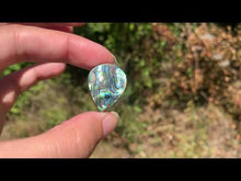 Charger et lire la vidéo dans la visionneuse de la Galerie, VENDU Abalone 41
