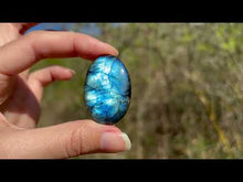 Charger et lire la vidéo dans la visionneuse de la Galerie, VENDU Labradorite 308
