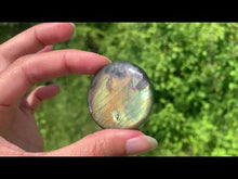 Charger et lire la vidéo dans la visionneuse de la Galerie, VENDU Labradorite 107
