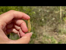 Charger et lire la vidéo dans la visionneuse de la Galerie, Quartz rutile 4
