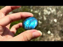 Charger et lire la vidéo dans la visionneuse de la Galerie, Labradorite 316
