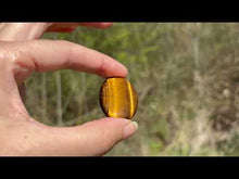 Charger et lire la vidéo dans la visionneuse de la Galerie, Oeil de tigre 73
