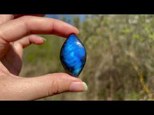 Charger et lire la vidéo dans la visionneuse de la Galerie, Labradorite 310
