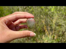 Charger et lire la vidéo dans la visionneuse de la Galerie, Quartz à Actinolite 2
