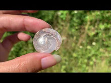 Charger et lire la vidéo dans la visionneuse de la Galerie, VENDU Ammonite 40
