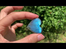 Charger et lire la vidéo dans la visionneuse de la Galerie, Labradorite 263
