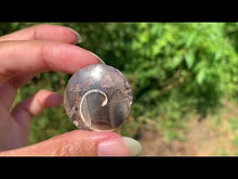Charger et lire la vidéo dans la visionneuse de la Galerie, VENDU Ammonite 18
