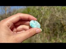 Charger et lire la vidéo dans la visionneuse de la Galerie, Larimar 40
