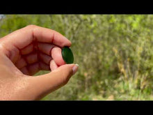 Charger et lire la vidéo dans la visionneuse de la Galerie, Jade Néphrite 16
