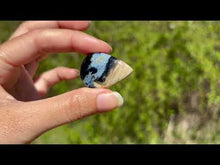 Charger et lire la vidéo dans la visionneuse de la Galerie, VENDU Bois fossilisé 10
