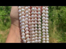 Charger et lire la vidéo dans la visionneuse de la Galerie, Perles de culture blanches, forme plus ovale
