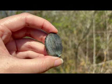 Charger et lire la vidéo dans la visionneuse de la Galerie, Labradorite 280
