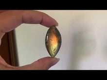 Charger et lire la vidéo dans la visionneuse de la Galerie, VENDU Labradorite 131
