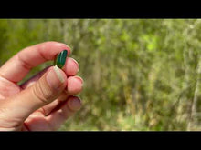 Charger et lire la vidéo dans la visionneuse de la Galerie, Jade Néphrite 10
