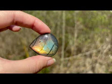 Charger et lire la vidéo dans la visionneuse de la Galerie, Labradorite 291
