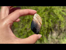 Charger et lire la vidéo dans la visionneuse de la Galerie, Bois fossilisé 11
