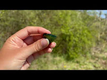 Charger et lire la vidéo dans la visionneuse de la Galerie, Jade Néphrite 23
