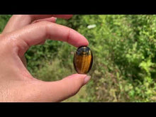 Charger et lire la vidéo dans la visionneuse de la Galerie, VENDU Oeil de faucon mélangé avec de l&#39;oeil de tigre 6
