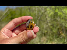 Charger et lire la vidéo dans la visionneuse de la Galerie, Agate Seam 11
