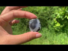 Charger et lire la vidéo dans la visionneuse de la Galerie, Agate dendritique 60
