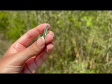 Charger et lire la vidéo dans la visionneuse de la Galerie, Jade Néphrite 14
