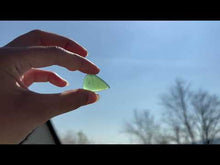 Charger et lire la vidéo dans la visionneuse de la Galerie, Jade Néphrite 15

