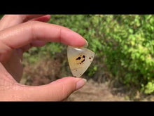 Charger et lire la vidéo dans la visionneuse de la Galerie, Agate du Montana 8
