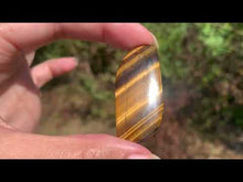 Charger et lire la vidéo dans la visionneuse de la Galerie, VENDU Oeil de tigre 59
