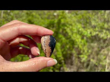 Charger et lire la vidéo dans la visionneuse de la Galerie, Bois fossilisé 6
