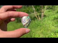 Charger et lire la vidéo dans la visionneuse de la Galerie, Abalone 70
