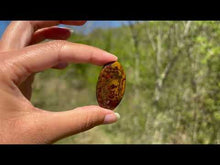 Charger et lire la vidéo dans la visionneuse de la Galerie, Agate Seam 17
