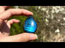 Charger et lire la vidéo dans la visionneuse de la Galerie, Labradorite 321
