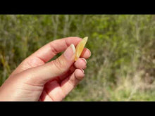 Charger et lire la vidéo dans la visionneuse de la Galerie, VENDU Calcite jaune 12
