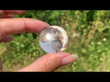 Charger et lire la vidéo dans la visionneuse de la Galerie, Ammonite 12
