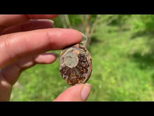 Charger et lire la vidéo dans la visionneuse de la Galerie, VENDU Ammonite de Madagascar 7
