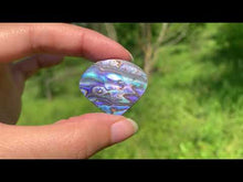 Charger et lire la vidéo dans la visionneuse de la Galerie, Abalone 62
