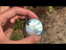 Charger et lire la vidéo dans la visionneuse de la Galerie, Labradorite &quot;blanche&quot; d&#39;Inde 39
