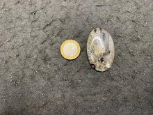 Charger l&#39;image dans la galerie, Ammonite noire 15
