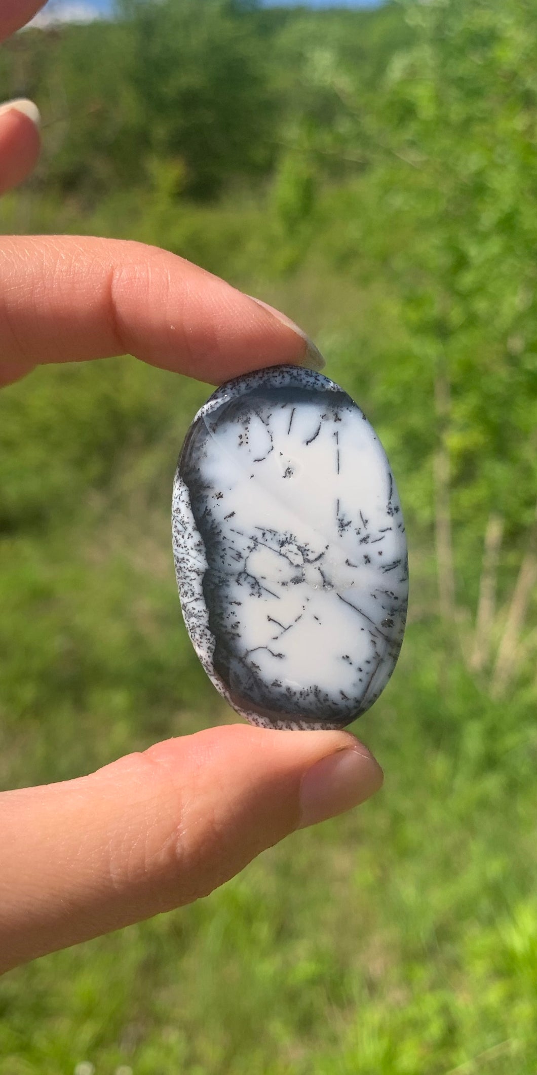 VENDU Agate dendritique 18