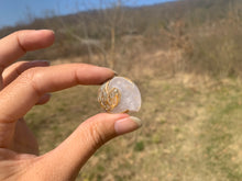 Charger l&#39;image dans la galerie, VENDU Ammonite 10
