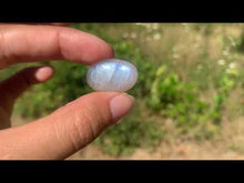 Charger et lire la vidéo dans la visionneuse de la Galerie, VENDU Labradorite blanche d&#39;Afrique 36
