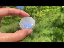 Charger et lire la vidéo dans la visionneuse de la Galerie, VENDU Labradorite blanche d&#39;Afrique 14
