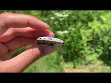 Charger et lire la vidéo dans la visionneuse de la Galerie, VENDU Jaspe Dalmatien 7
