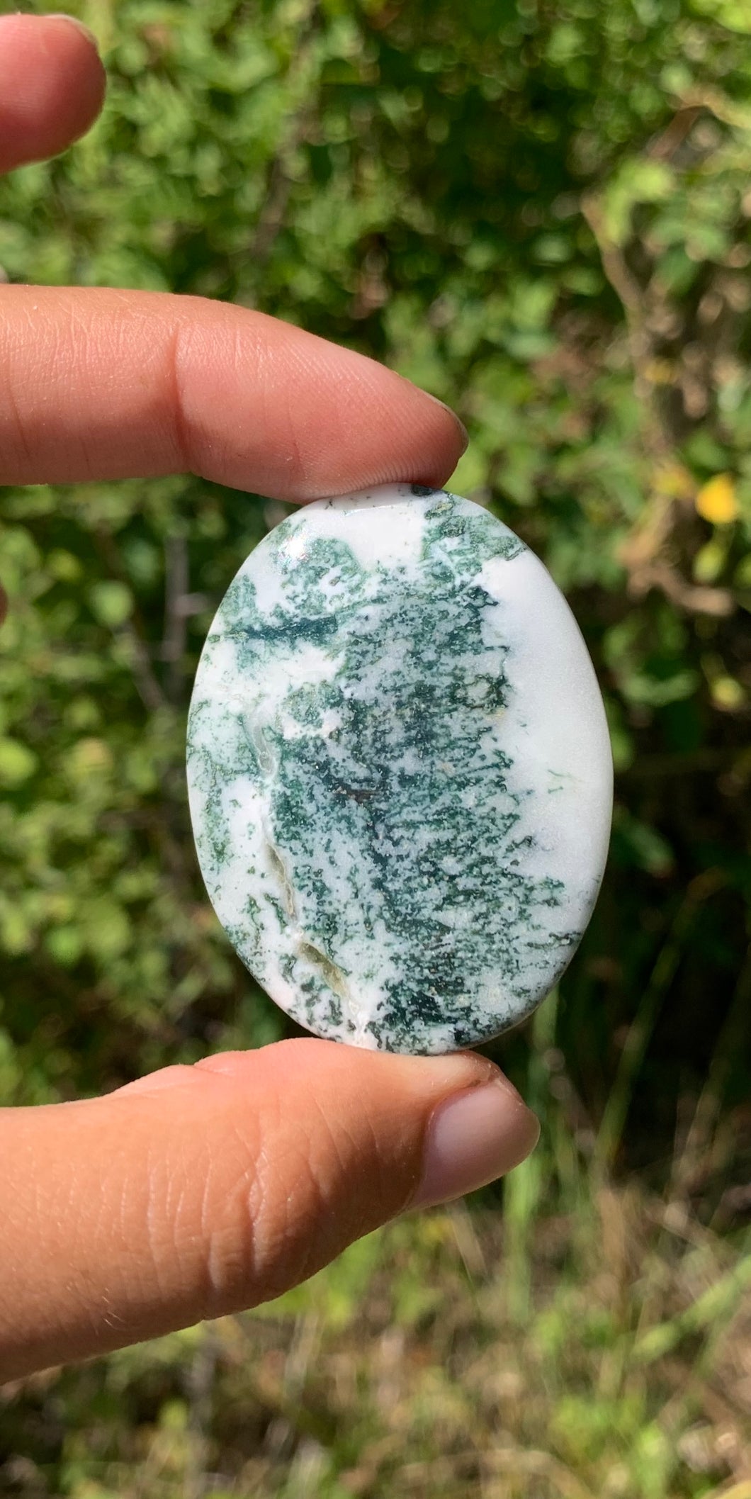 VENDU Agate Arbre 1