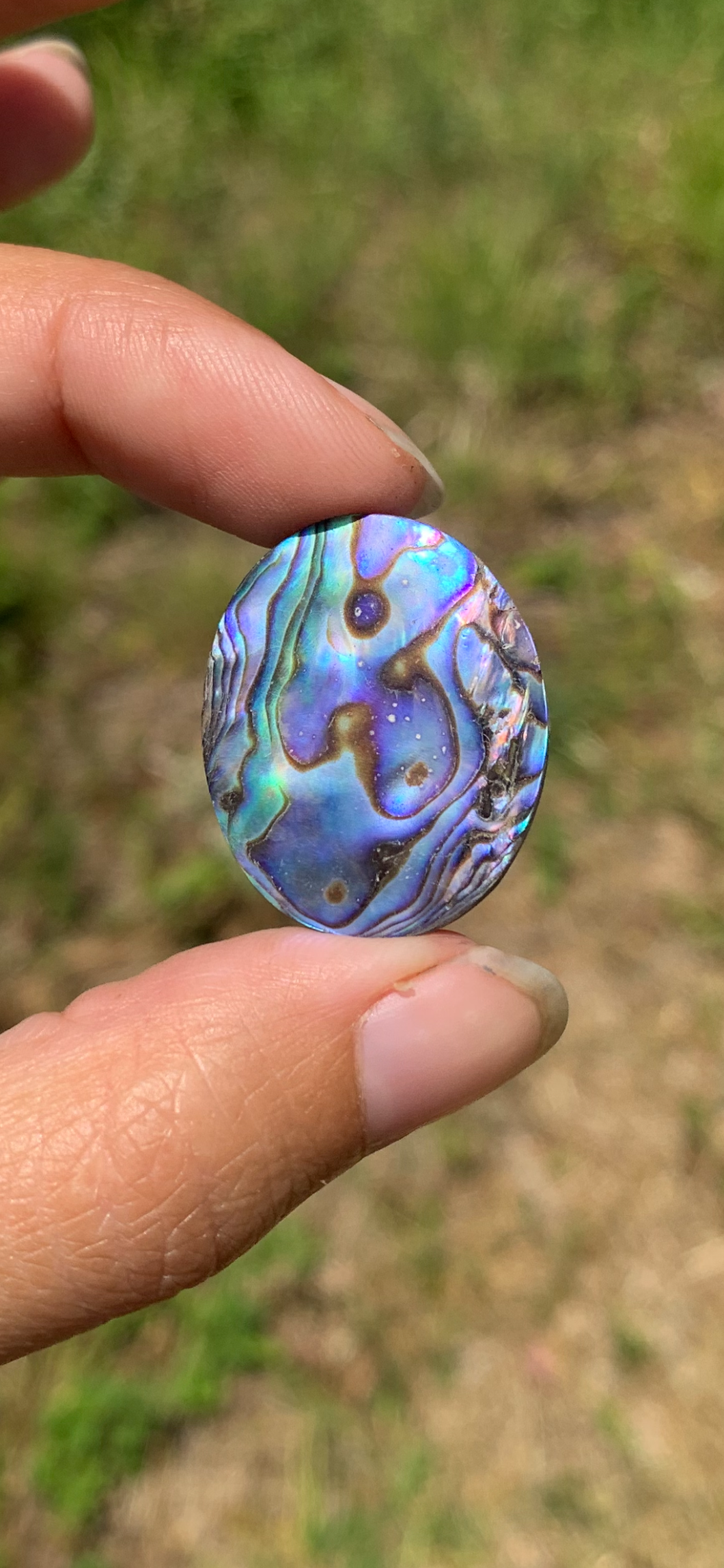 VENDU Nacre / Abalone 12