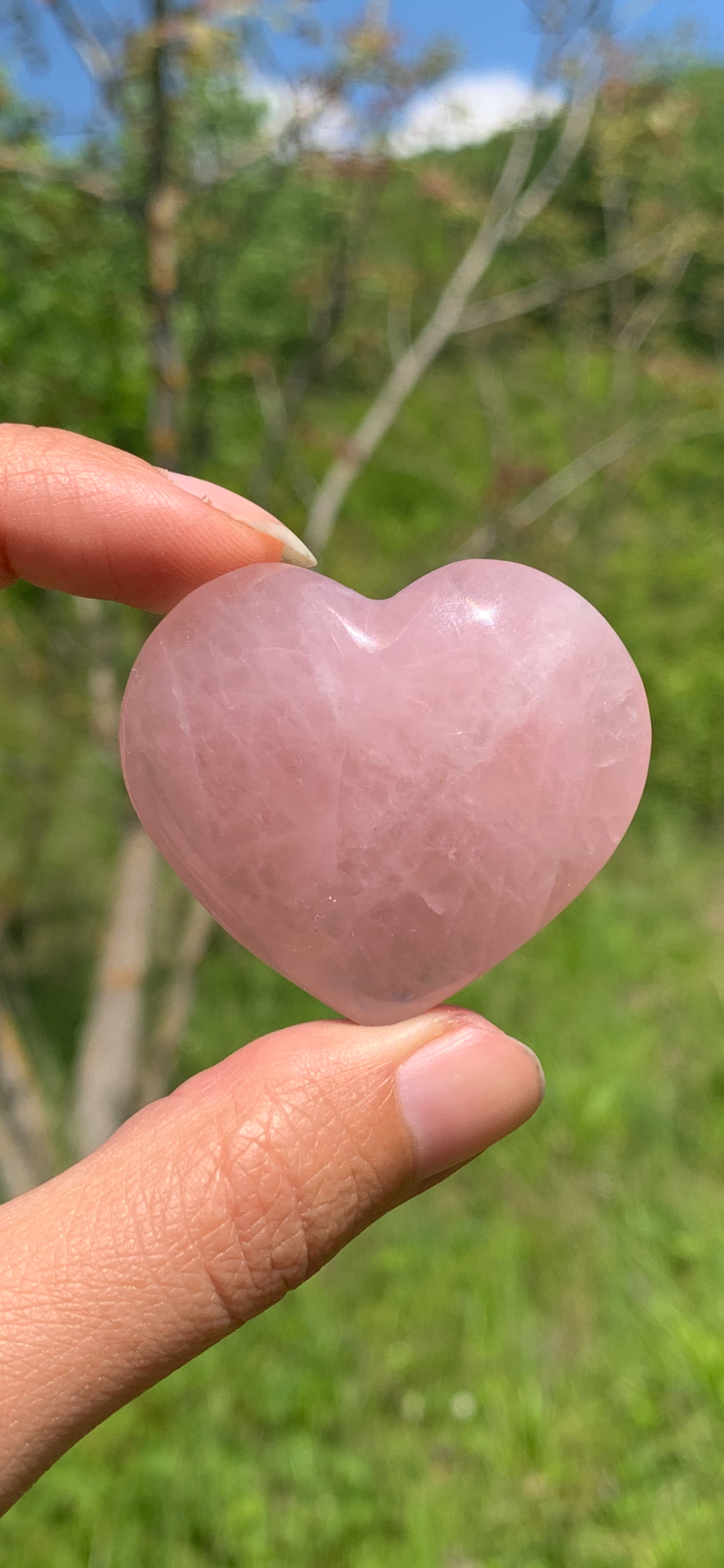Coeurs en quartz rose