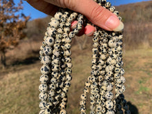 Charger l&#39;image dans la galerie, Perles en jaspe dalmatien entre 2 et 12mm
